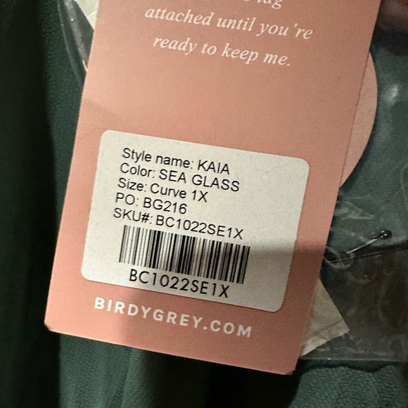 Birdy Grey KAIA DRESS CHIFFON SEA GLASS CURVE 1X NEW NWT BRIDESMAID WEDDING - Picture 4 of 4